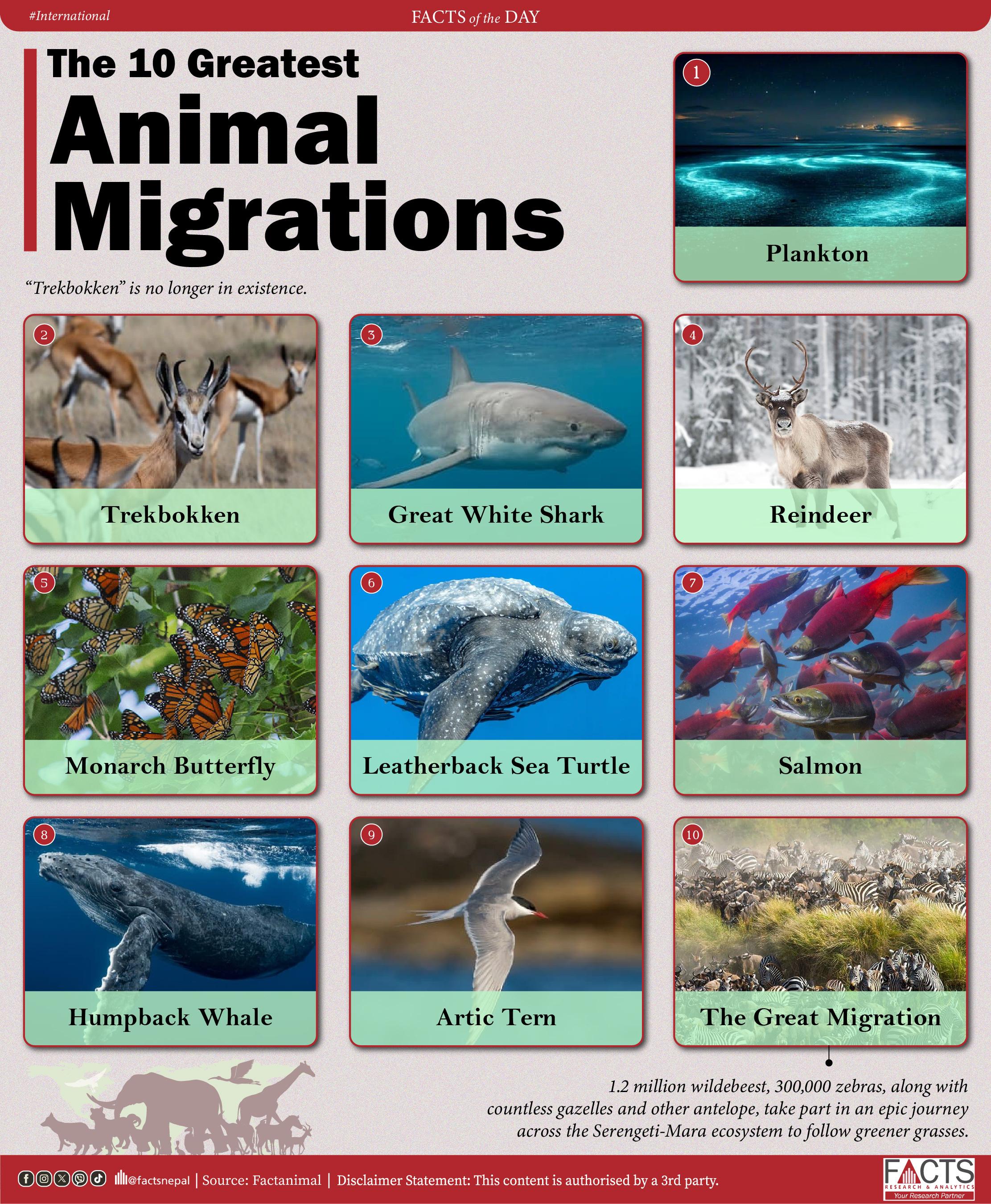 Top 10 longest living animals on the planet