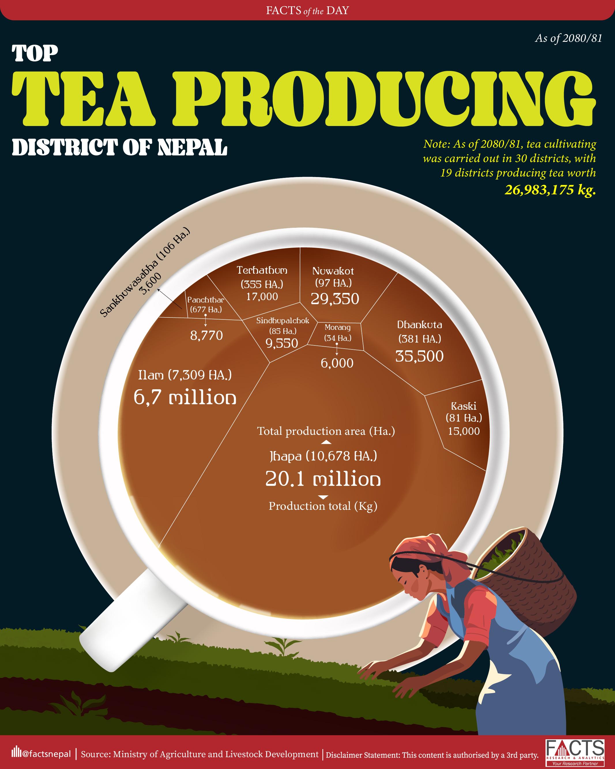 Jhapa is the highest tea-producing district in Nepal, with an area of 10,678 hectares and a production of 20.1 million kg.